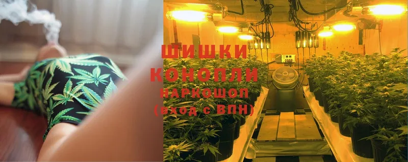 Бошки марихуана THC 21%  Азнакаево 